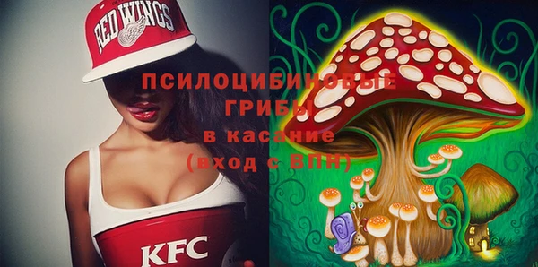 мдпв Алзамай