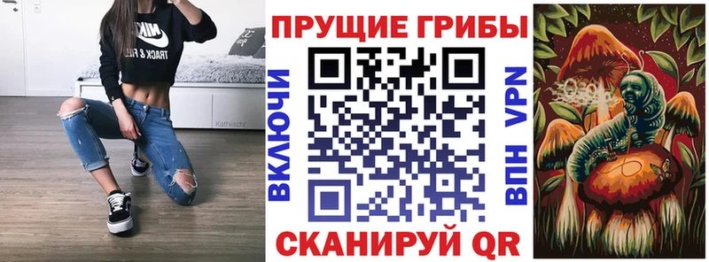 KRAKEN рабочий сайт  Камышин  Галлюциногенные грибы прущие грибы 