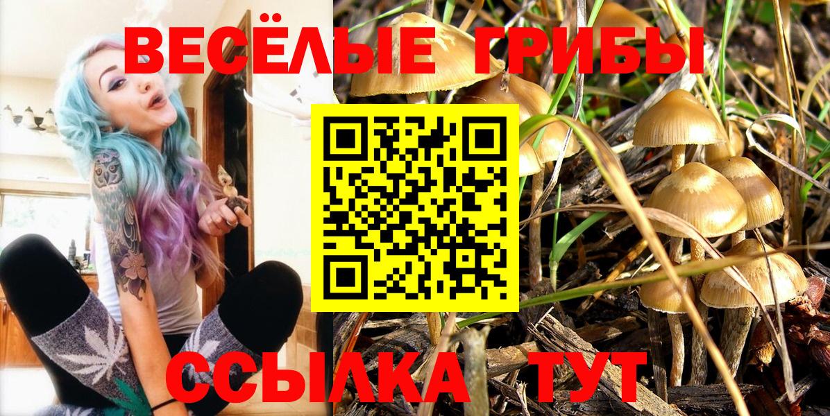 Псилоцибиновые грибы Psilocybine cubensis  Галлюциногенные грибы прущие грибы  Камышин  Вход с VPN 